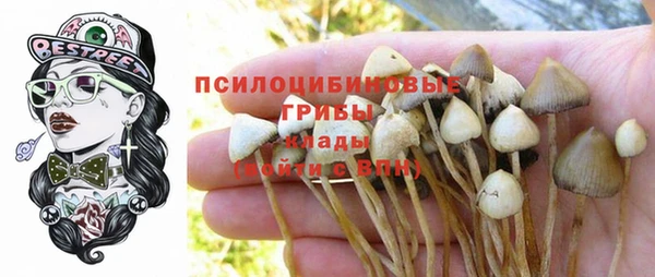 трава Баксан